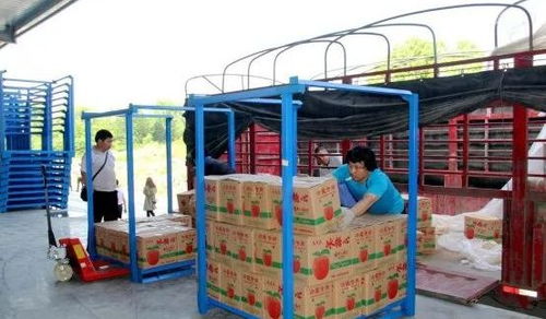 永州嘉信冷鏈倉儲物流中心正式開業，助推區域物流體系升級