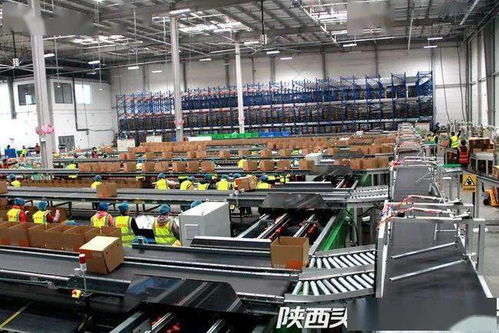 西安聯手阿里破解農產品倉儲物流難題，西北最大數字農業倉配體系正式啟用